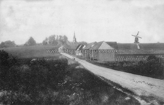 Cutlers Green Road, Thaxted, Essex. c.1910